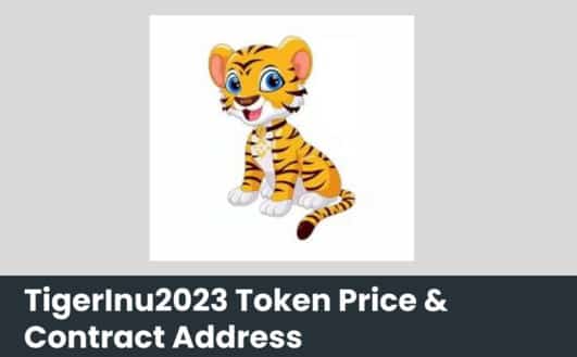 TigerInu2023 Token Price & Contract Address
