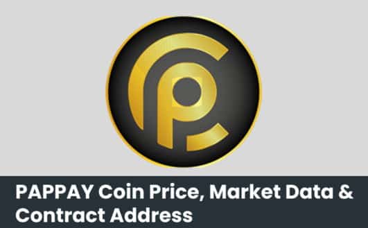 PAPPAY Coin Price, Market Data & Contract Address