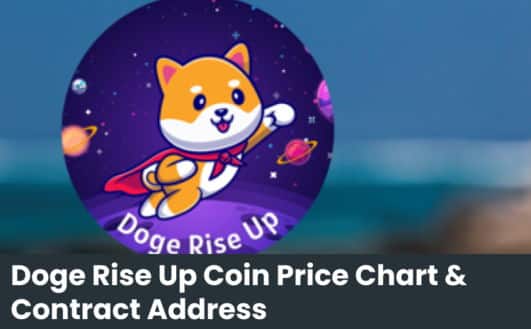 Doge Rise Up Coin Price Chart & Contract Address